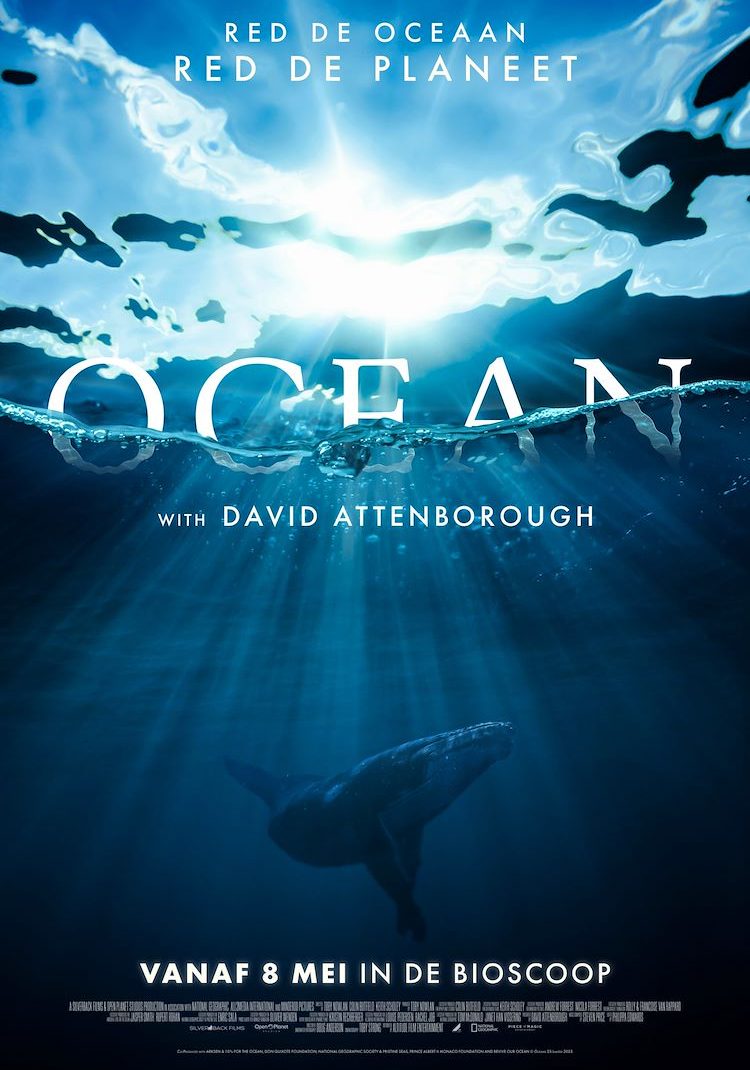 OCEAN-with-David-Attenborough_ps_1_jpg_sd-low_Keith-Scholey-Silverback-Films-and-Open-Planet-Studios